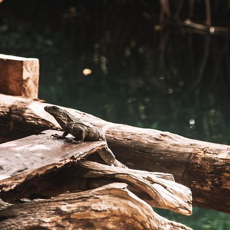 ホテル Uman Glamping & Cenote トゥルム エクステリア 写真