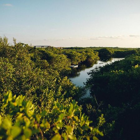 ホテル Uman Glamping & Cenote トゥルム エクステリア 写真