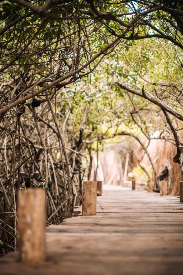 ホテル Uman Glamping & Cenote トゥルム エクステリア 写真