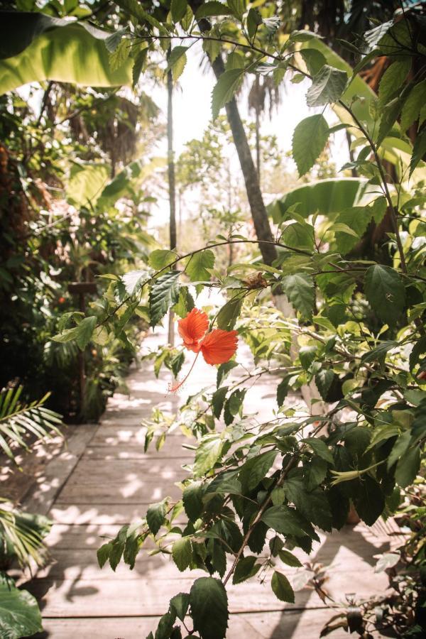 ホテル Uman Glamping & Cenote トゥルム エクステリア 写真